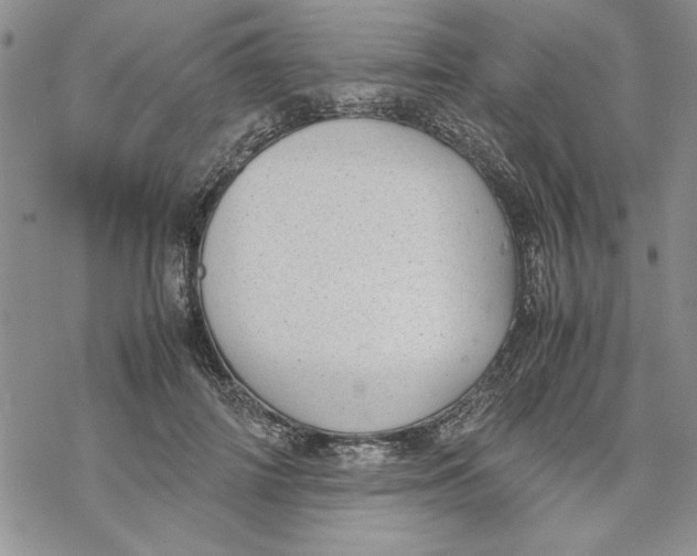 X0000069390698200606021632