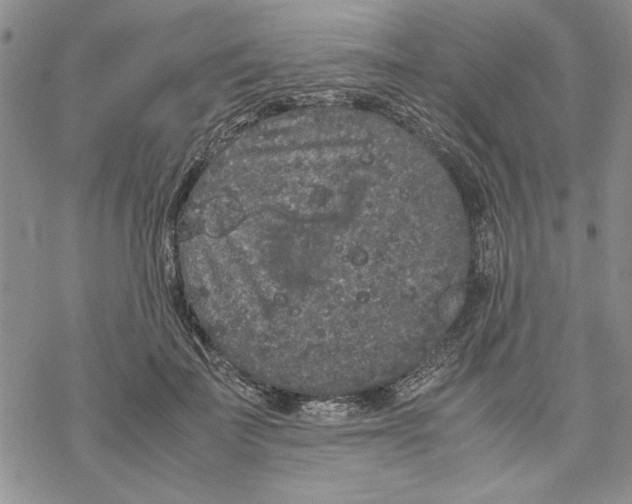 X0000069390699200606021632