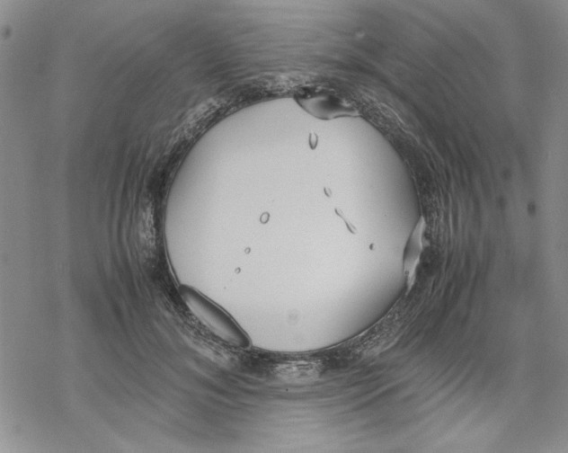 X0000069390700200606021632