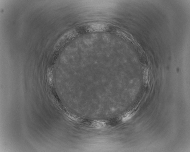 X0000069390701200606021632