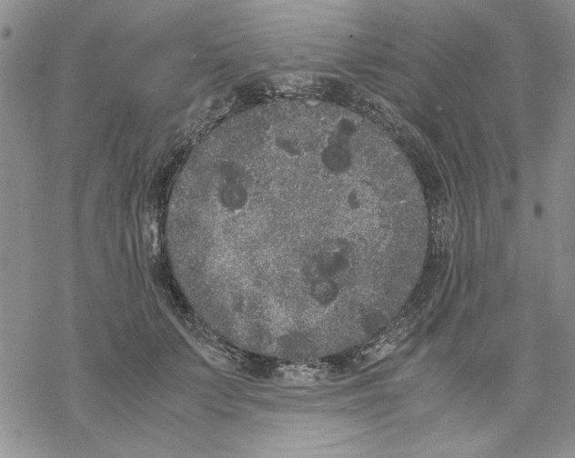 X0000069390703200606021632