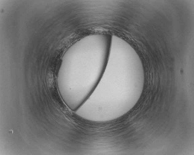 X0000069390704200606021632