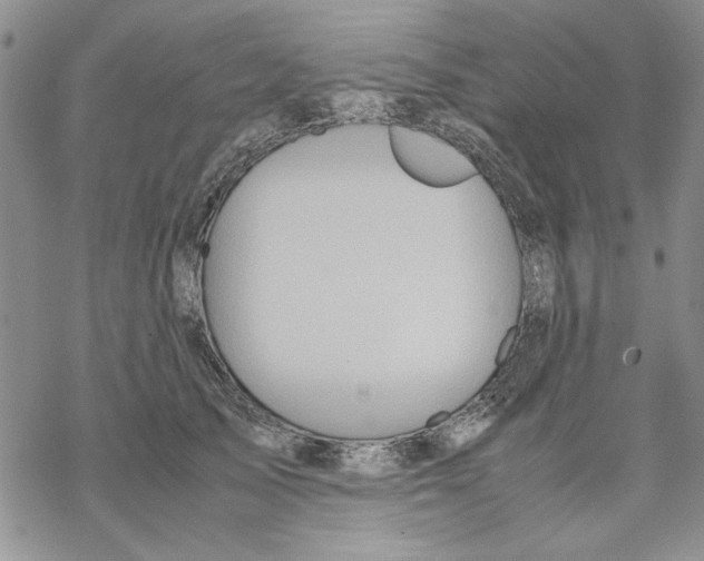 X0000069390705200606021632