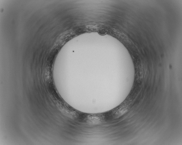 X0000069390706200606021632