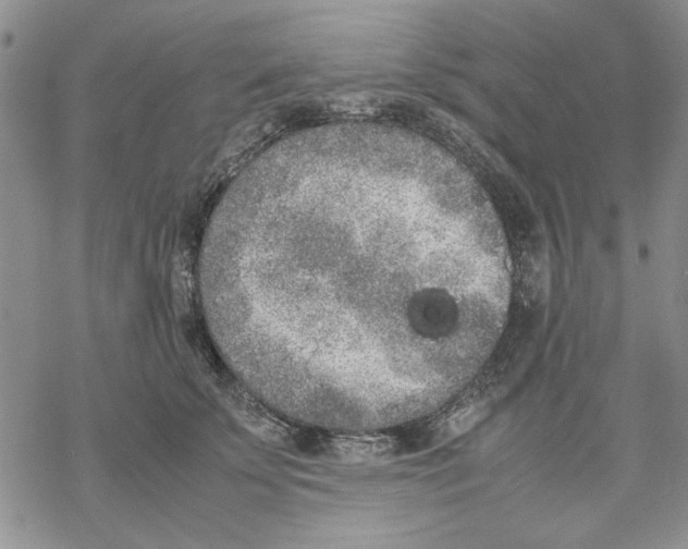 X0000069390707200606021632