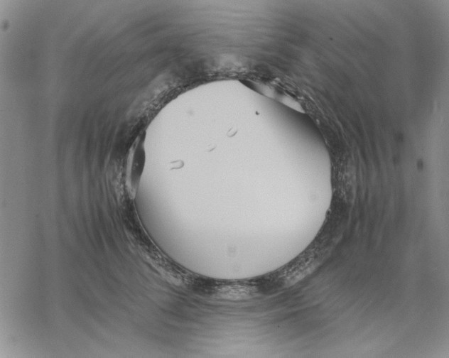 X0000069390708200606021632