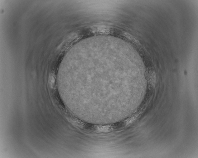 X0000069390709200606021632