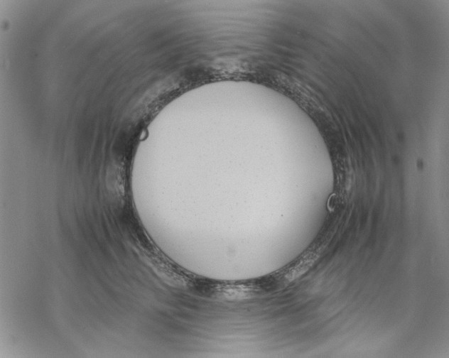 X0000069390710200606021632