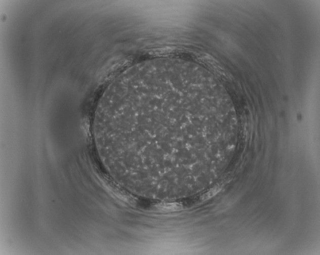 X0000069390711200606021632