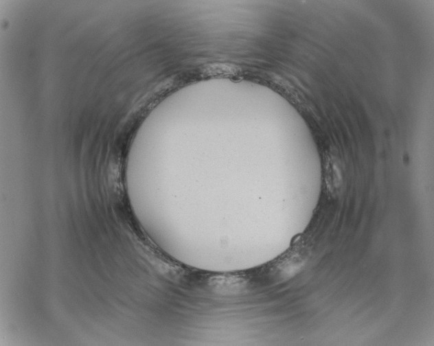 X0000069390714200606021632