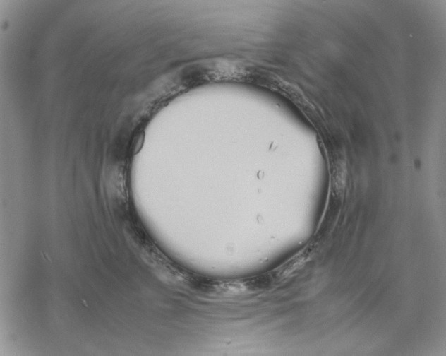 X0000069390715200606021632