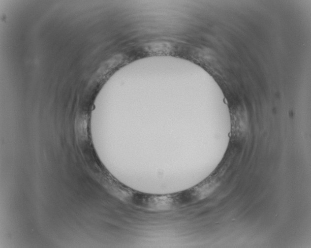 X0000069390717200606021632