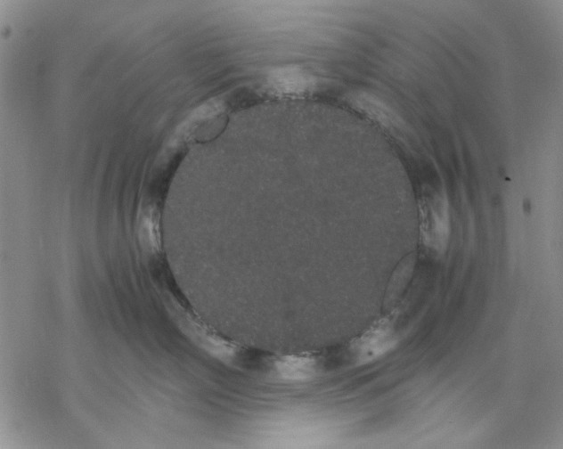 X0000069390718200606021632