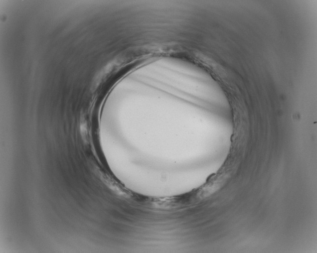 X0000069390720200606021632