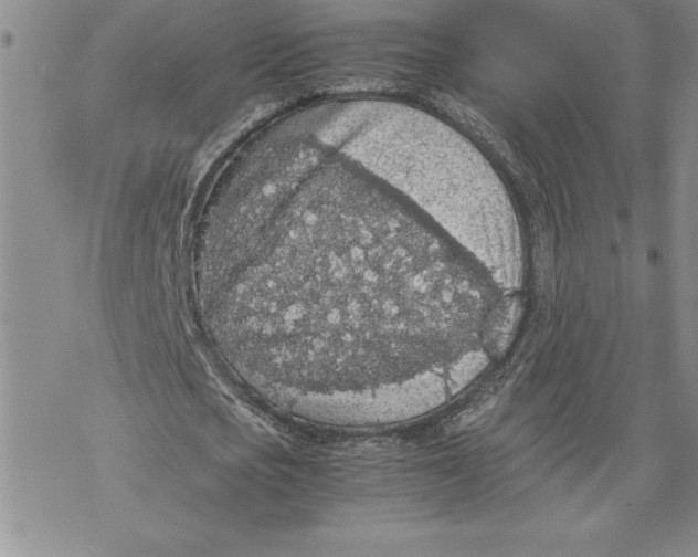 X0000069390721200606021631