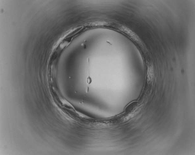 X0000069390722200606021631