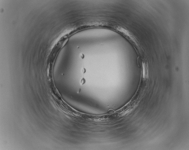 X0000069390723200606021631