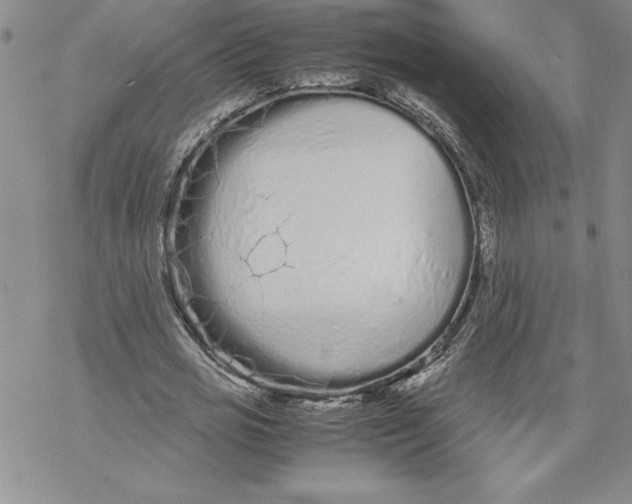 X0000069390725200606021631