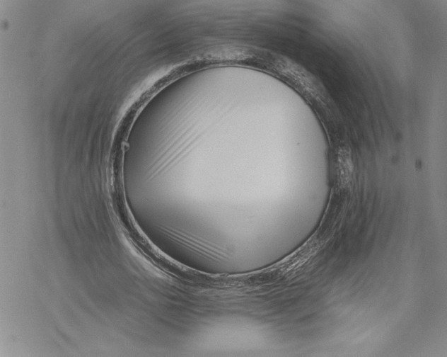 X0000069390726200606021631