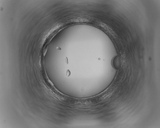 X0000069390727200606021631