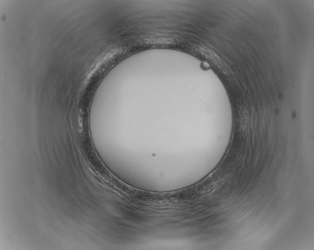 X0000069390731200606021631