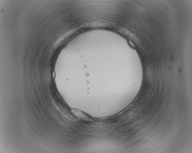 X0000069390732200606021631