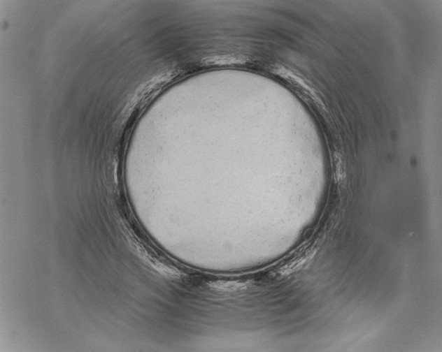 X0000069390733200606021631