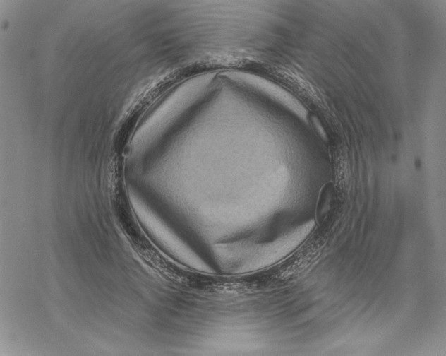 X0000069390736200606021631