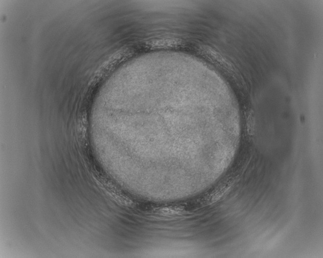 X0000069390737200606021631