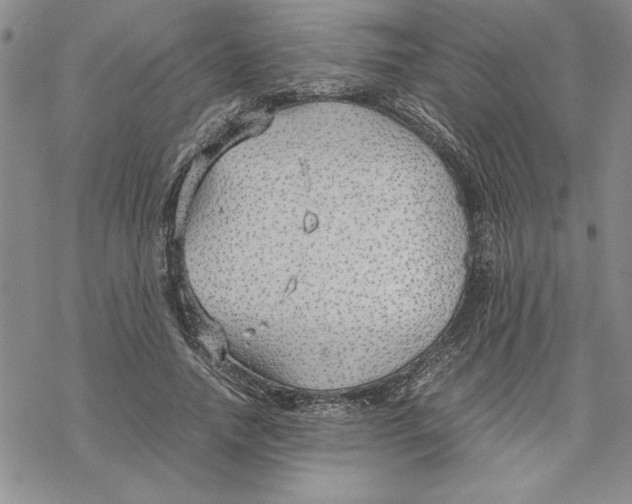 X0000069390738200606021631