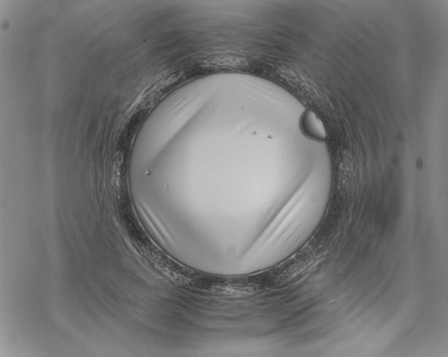 X0000069390739200606021631