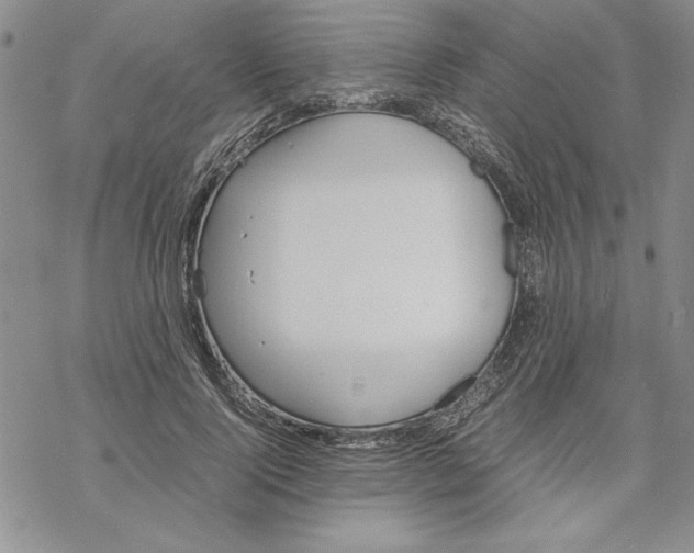 X0000069390740200606021631