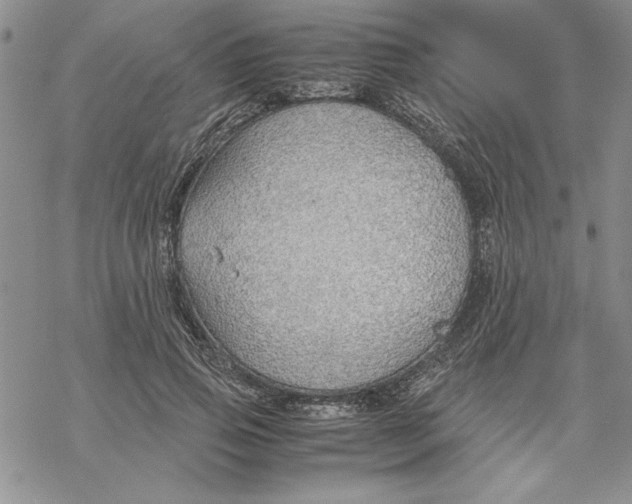 X0000069390741200606021631