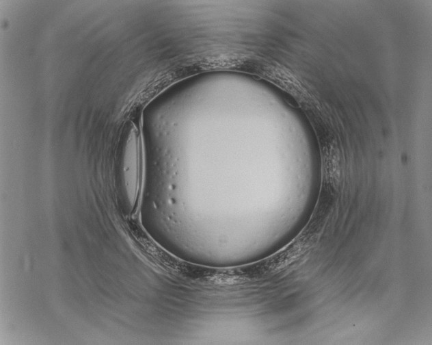 X0000069390742200606021631