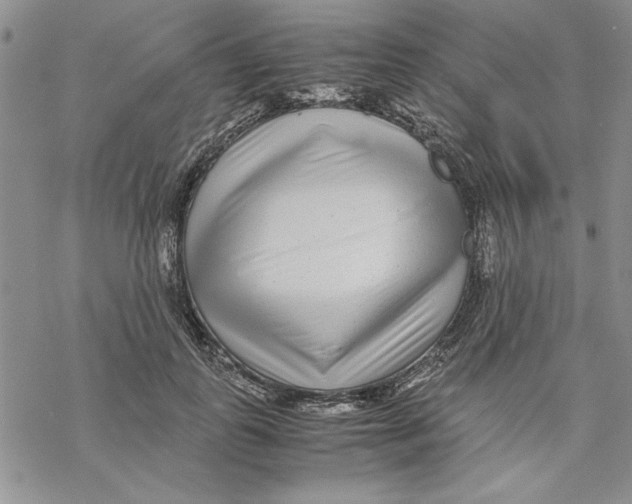 X0000069390747200606021631