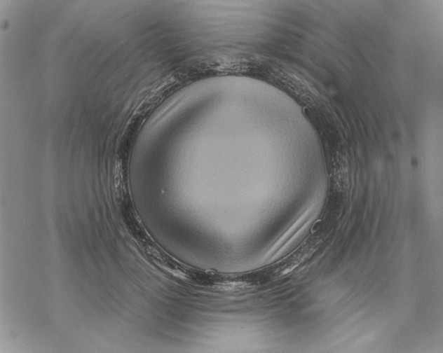 X0000069390748200606021631