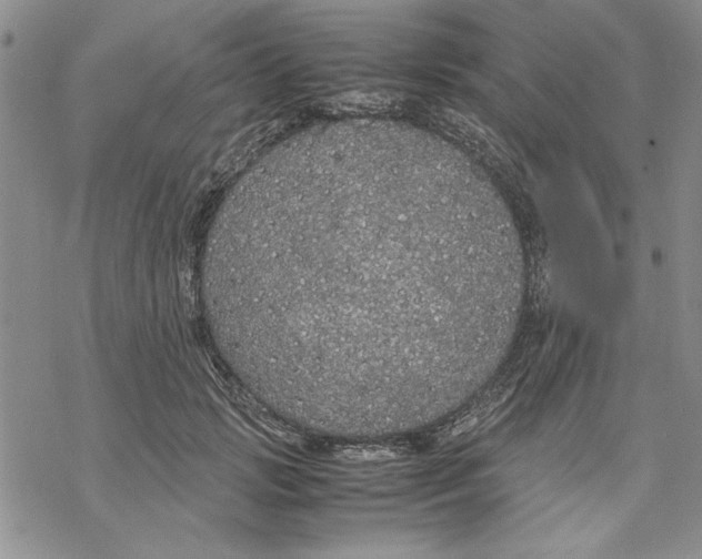 X0000069390749200606021631