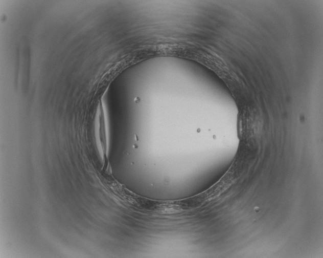 X0000069390750200606021631