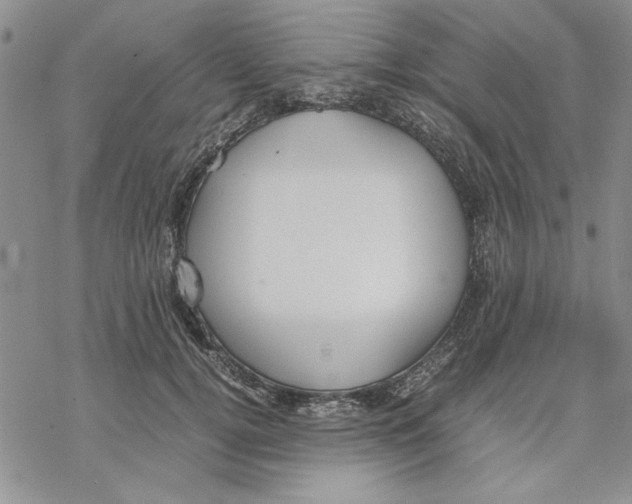 X0000069390752200606021631