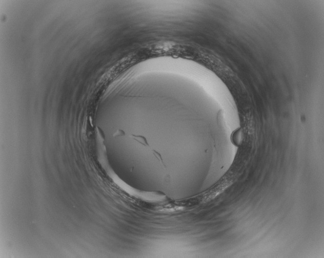 X0000069390754200606021631