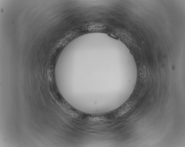 X0000069390755200606021631