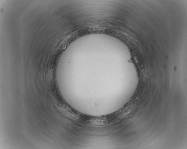 X0000069390756200606021631