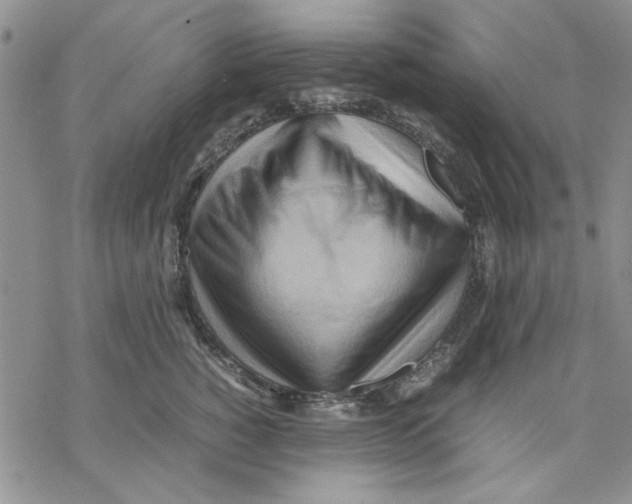 X0000069390760200606021631