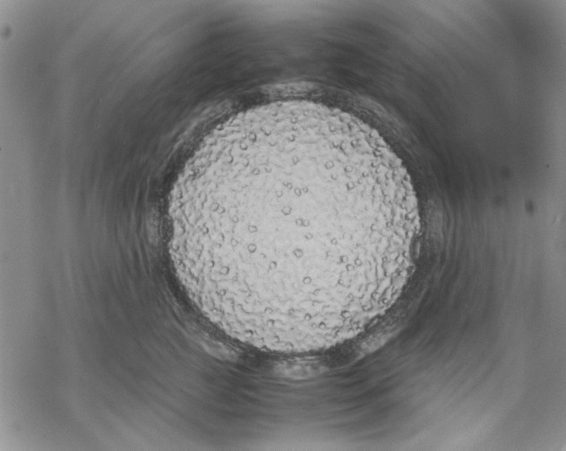 X0000069390761200606021631