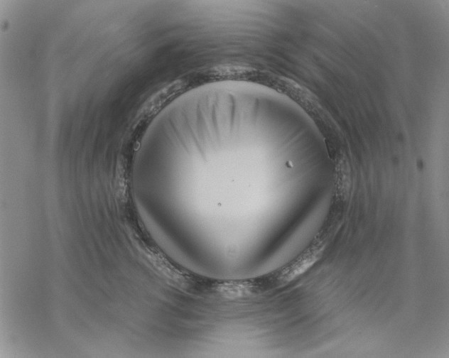 X0000069390762200606021631