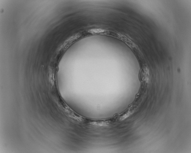 X0000069390763200606021631