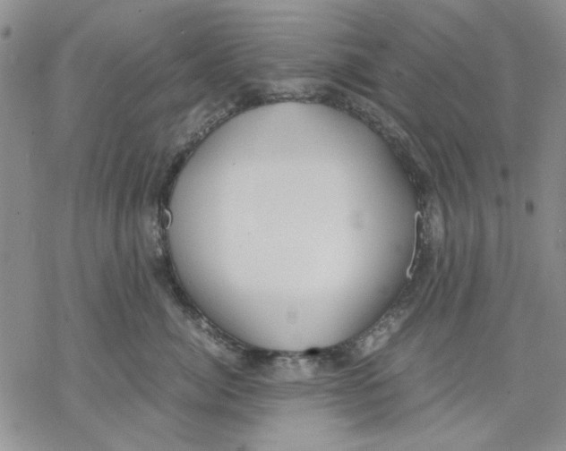 X0000069390764200606021631