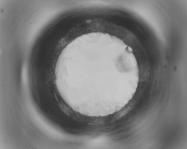 X0000069390765200606021631