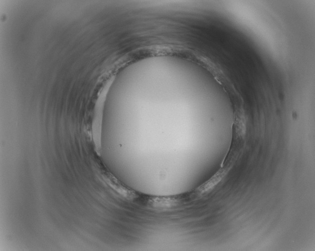 X0000069390766200606021631