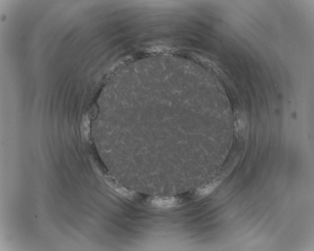 X0000069390767200606021631